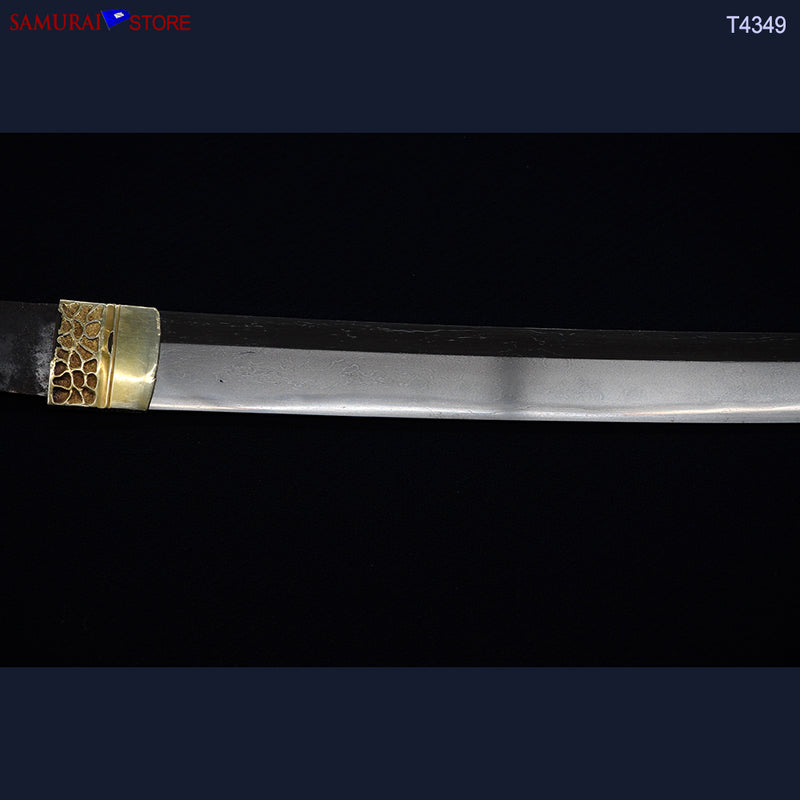 T4349 Katana Sword JUMYO - Antique NBTHK certificated