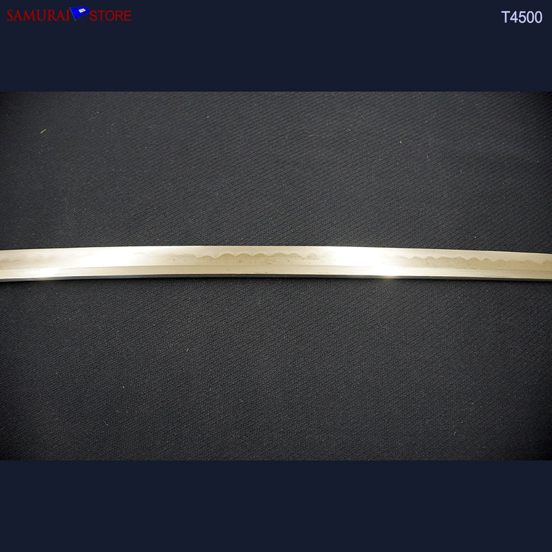 T4500 Wakizashi Antique Sword  in Shikomi-Zue Cane