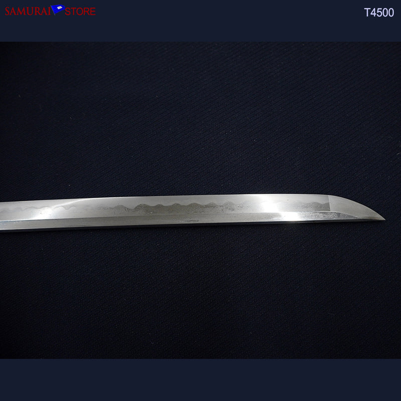 T4500 Wakizashi Antique Sword  in Shikomi-Zue Cane