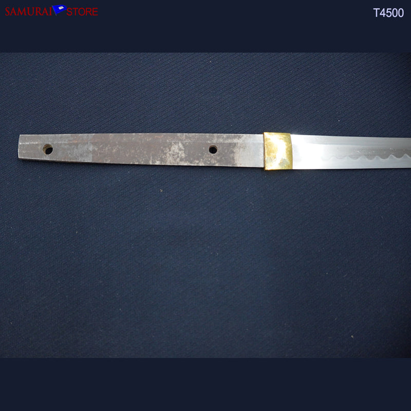 T4500 Wakizashi Antique Sword  in Shikomi-Zue Cane