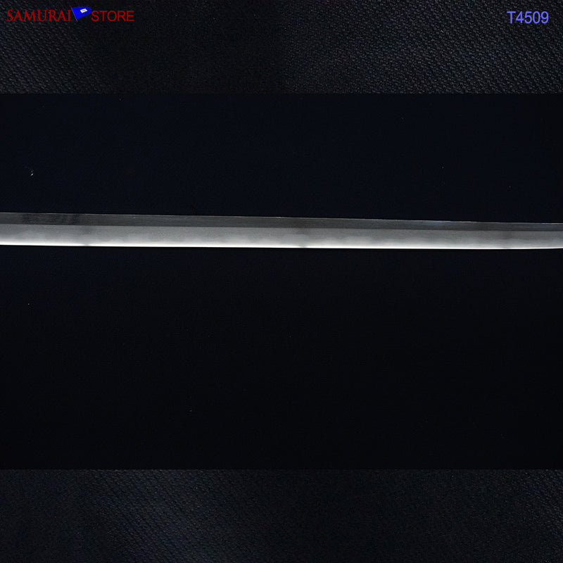 T4509 Antique Katana Sword KANEMASA - NBTHK Hozon certificate Edo period