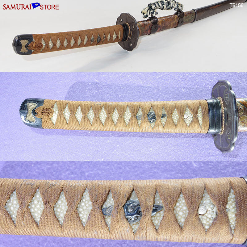 T6156 Katana Sword TANEAKI 1912 - Antique NBTHK Hozon certificated