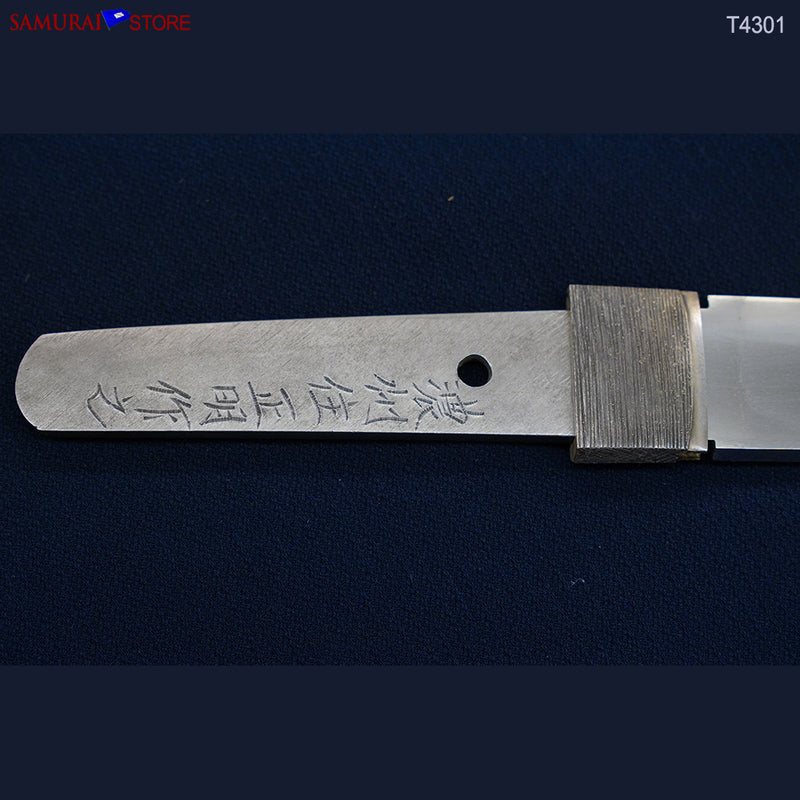 T4301  Wakizashi Sword MASAAKI - Contemporary