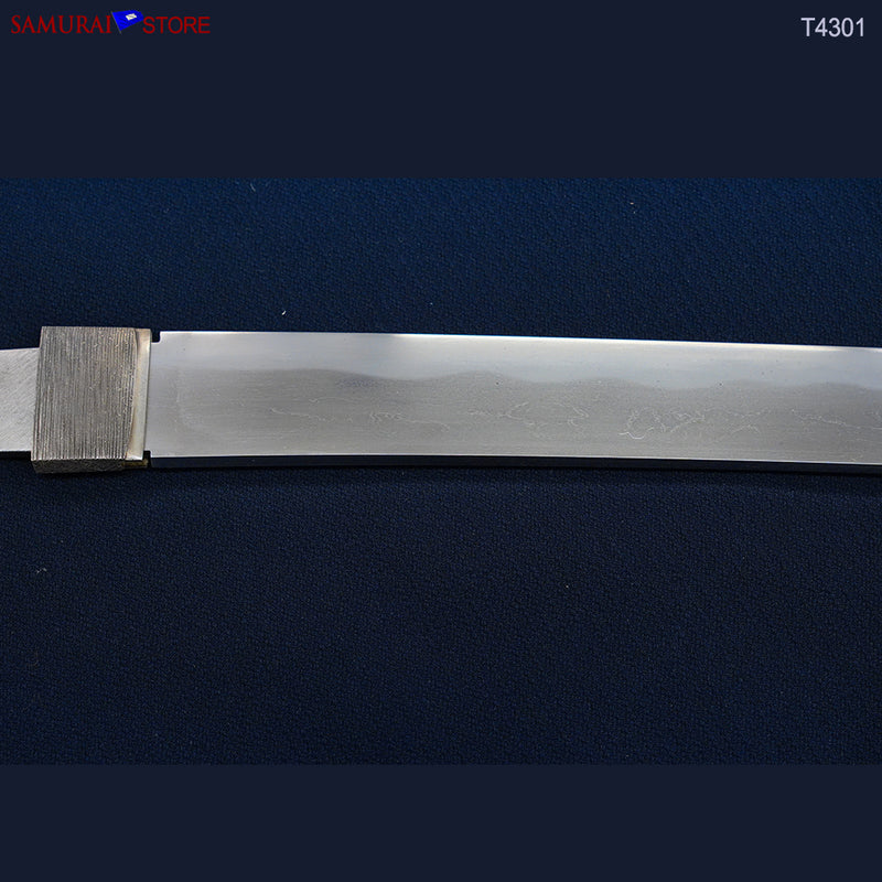 T4301  Wakizashi Sword MASAAKI - Contemporary