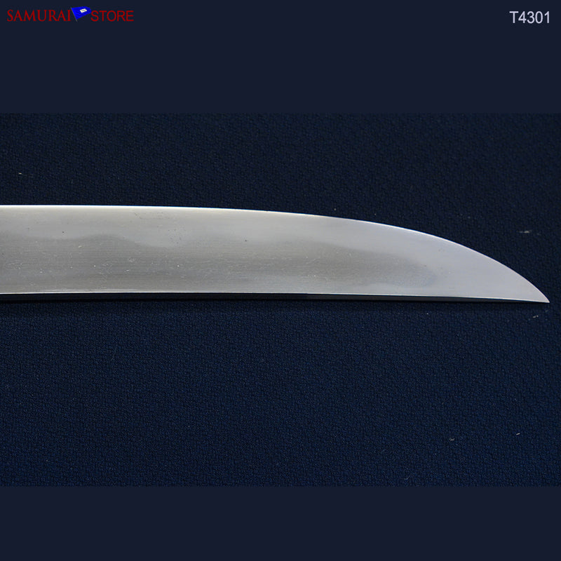 T4301  Wakizashi Sword MASAAKI - Contemporary