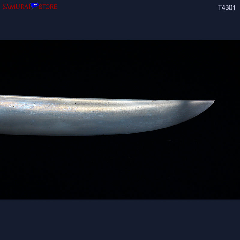T4301  Wakizashi Sword MASAAKI - Contemporary
