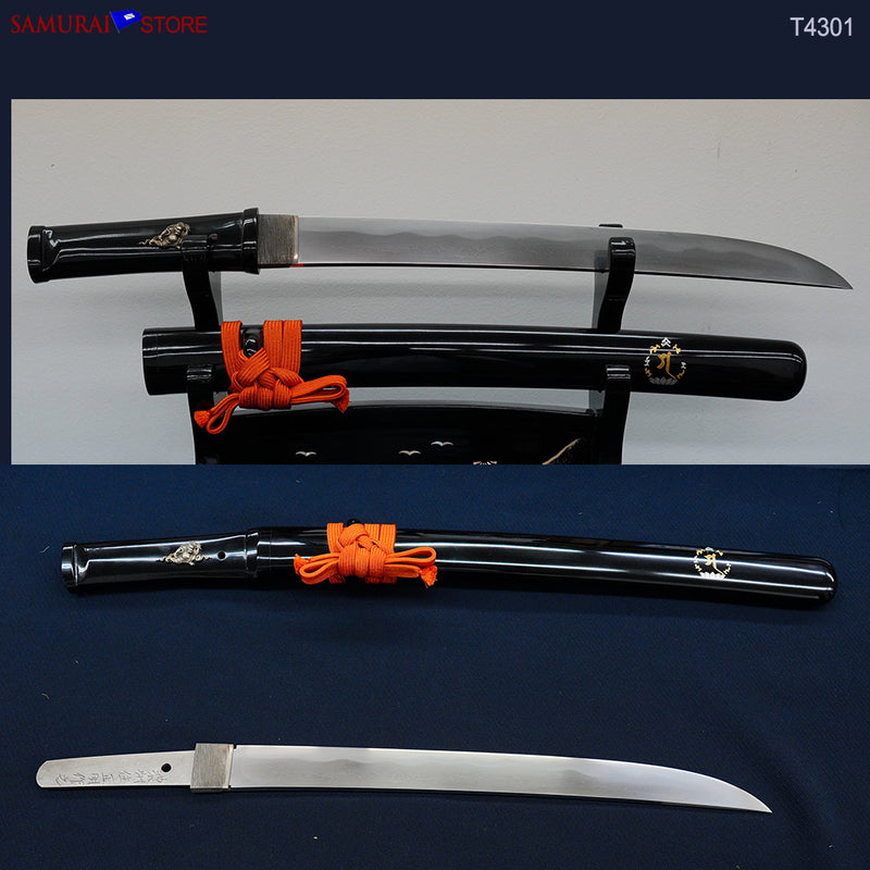 T4301  Wakizashi Sword MASAAKI - Contemporary