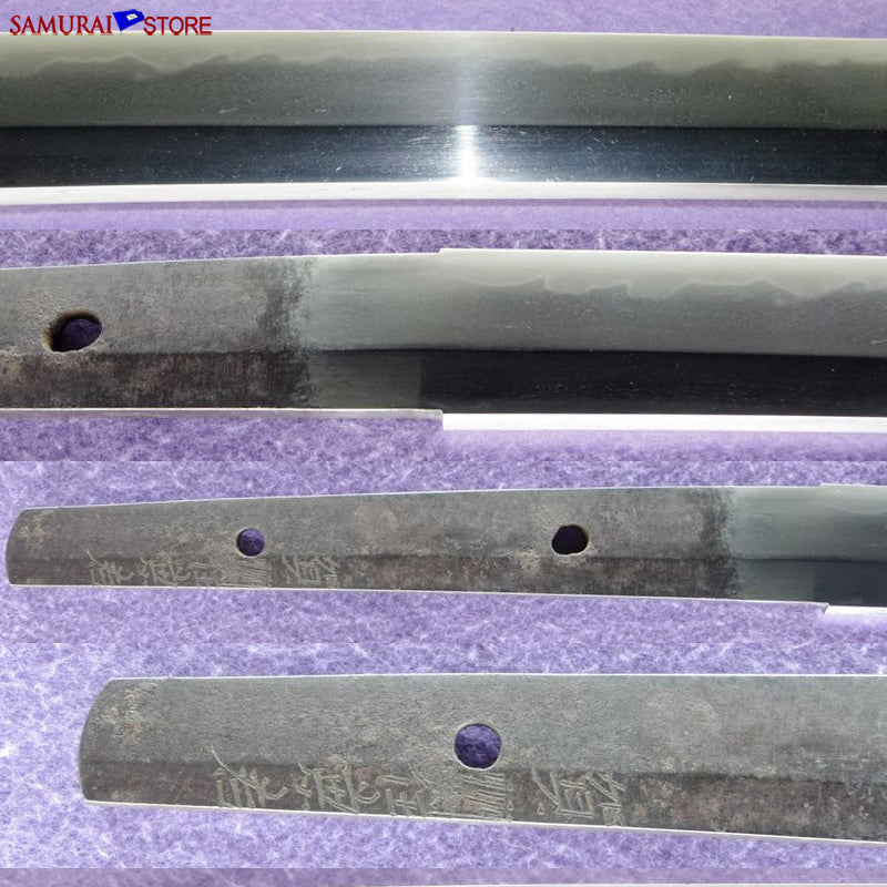 T7122 Katana Sword KANEWAKA - Antique w/ NBTHK certificate - SAMURAI STORE