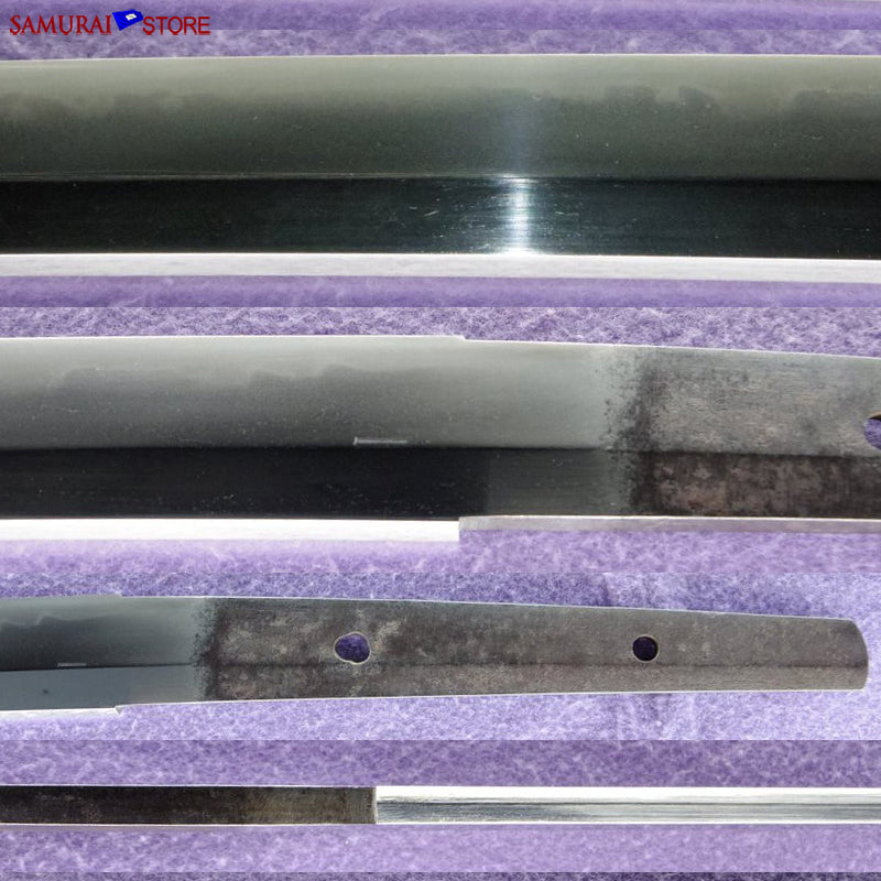 T7122 Katana Sword KANEWAKA - Antique w/ NBTHK certificate - SAMURAI STORE